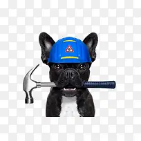 创意小狗拟人化安装工人形象设计-空若网 创意小狗拟人化安装工人形象设计-空若网