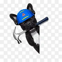 创意小狗拟人化形象设计-空若网 创意小狗拟人化形象设计-空若网