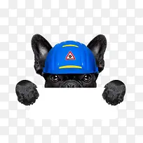 创意小狗手拿标牌-空若网 创意小狗手拿标牌-空若网