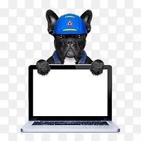 ����С�����˻��������-������