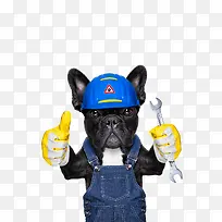 ����С�����˻��������-������