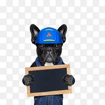 创意小狗手拿黑板-空若网 创意小狗手拿黑板-空若网