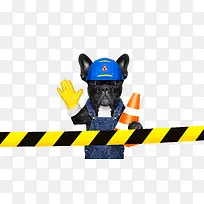 创意小狗拟人化形象设计-空若网 创意小狗拟人化形象设计-空若网