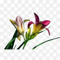 �ƻ����ز�-������