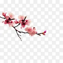 桃花-空若网 桃花-空若网