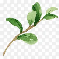 水彩卡通绿色树枝-空若网 水彩卡通绿色树枝-空若网