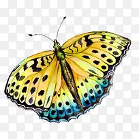 卡通可爱小动物装饰设计动物头像-空若网 卡通可爱小动物装饰设计动物头像-空若网