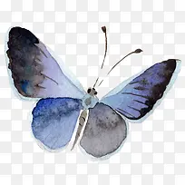 卡通可爱小动物装饰设计动物头像-空若网 卡通可爱小动物装饰设计动物头像-空若网