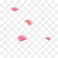 圣诞节素材花瓣-空若网 圣诞节素材花瓣-空若网