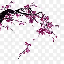 梅花素材-空若网 梅花素材-空若网