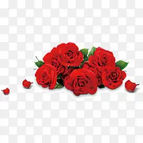 ����õ�廨-������