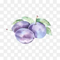 好看的蓝色水果水彩-空若网 好看的蓝色水果水彩-空若网