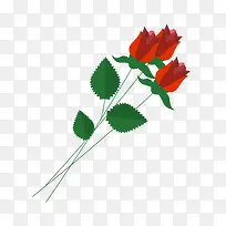 ��ƽ��õ�廨ֲ�����-������