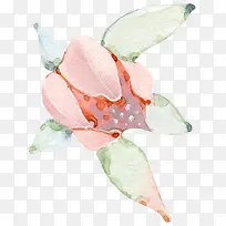 水彩粉色花朵-空若网 水彩粉色花朵-空若网