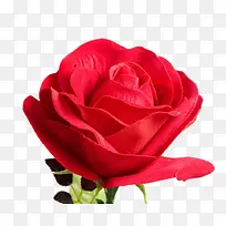 ��Ʒʵ���ɫõ��-������