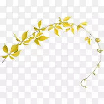 边花摄影剪贴画.叶架-空若网 边花摄影剪贴画.叶架-空若网
