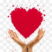 ���ʴ��������Ű��ĵ�˫��-������