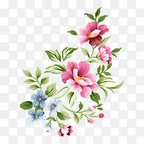 手绘花朵-空若网 手绘花朵-空若网