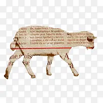 �����������������Ű�-������