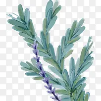 �ݱ�ʸ����Ҷֲ��-������