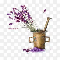 薰衣草花素材-空若网 薰衣草花素材-空若网