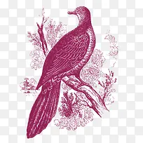 �ֻ�������������ز�-������