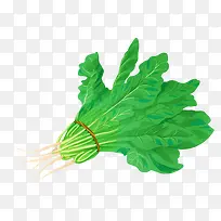 ��ɫ����ʳ��Ԫ��-������