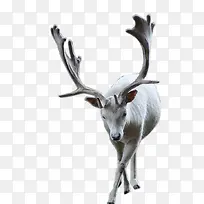 ��¹ʥ�����ز����-������