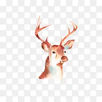 Ê¥µ®½Ú÷繸ßÇåËØ²Ä-¿ÕÈôÍø Ê¥µ®½Ú÷繸ßÇåËØ²Ä-¿ÕÈôÍø