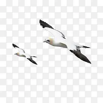 ����ʸ���ز�-������