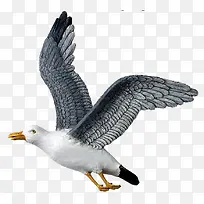 ·Å·É¸ë×ÓËØ²Ä¸ë×Ó-¿ÕÈôÍø ·Å·É¸ë×ÓËØ²Ä¸ë×Ó-¿ÕÈôÍø