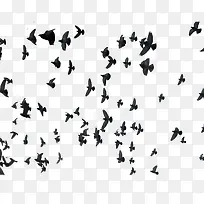 ���ŷɸ����ز�-������