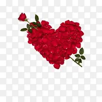 õ�尮��-������