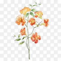 手绘花朵图片素材卡通鲜花素材 -空若网 手绘花朵图片素材卡通鲜花素材 -空若网