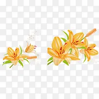 黄色盛开百合花矢量素材-空若网 黄色盛开百合花矢量素材-空若网