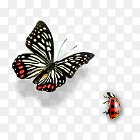 À¥³æ-¿ÕÈôÍø À¥³æ-¿ÕÈôÍø