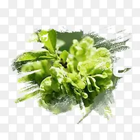 ��Ǯ��-������