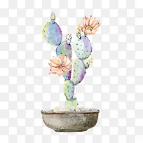 花盆里的手绘植物-空若网 花盆里的手绘植物-空若网