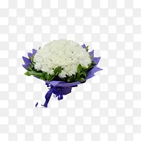 �ʻ�-������