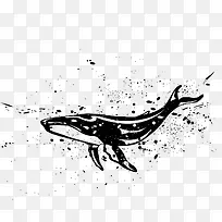 抠图材料-空若网 抠图材料-空若网