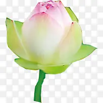 ˮ����Ӱ��������-������