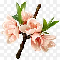 彩色春天花朵盛开-空若网 彩色春天花朵盛开-空若网