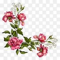 彩色春天花朵-空若网 彩色春天花朵-空若网