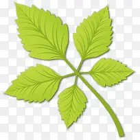 嫩绿色的树叶矢量免抠素材-空若网 嫩绿色的树叶矢量免抠素材-空若网