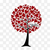 红心树-空若网 红心树-空若网