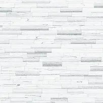 �ذ����-������