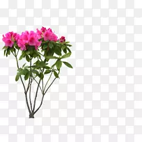 免费桌面壁纸-空若网 免费桌面壁纸-空若网