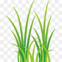 Çà²Ý½ÚÈÕ×°ÊμٲÝ-¿ÕÈôÍø Çà²Ý½ÚÈÕ×°ÊμٲÝ-¿ÕÈôÍø