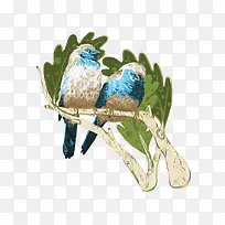 ��֦�ϵ���ֻ��-������