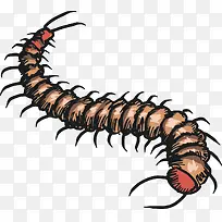 蜈蚣矢量-空若网 蜈蚣矢量-空若网